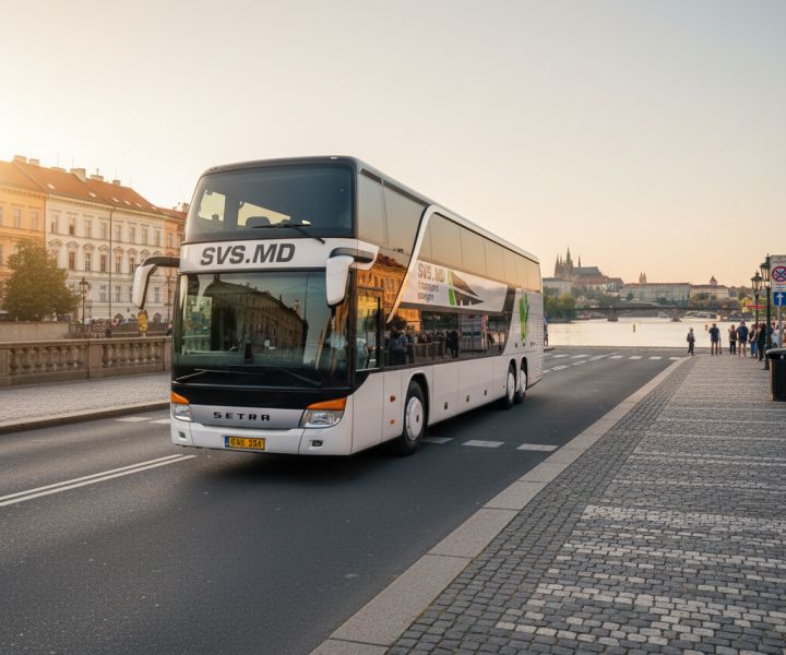 SVS Timișoara hero image